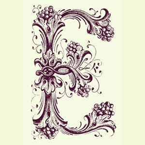 monogram lettering alphabet fonts fancy writing alphabet design