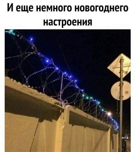 Лучшие новые приколы