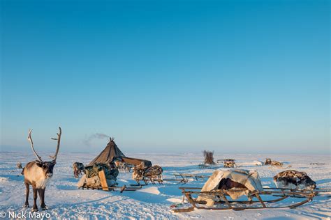 Tundra Camp In Evening Light Yamal Peninsula Yamalo Nenets Russia 2014 Nick Mayo Photography