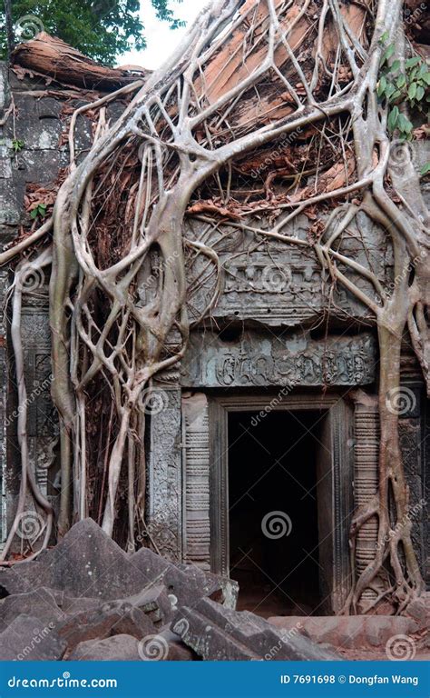 Wat De Temple De Ruines Du Cambodge Dangkor Photo Stock Image Du