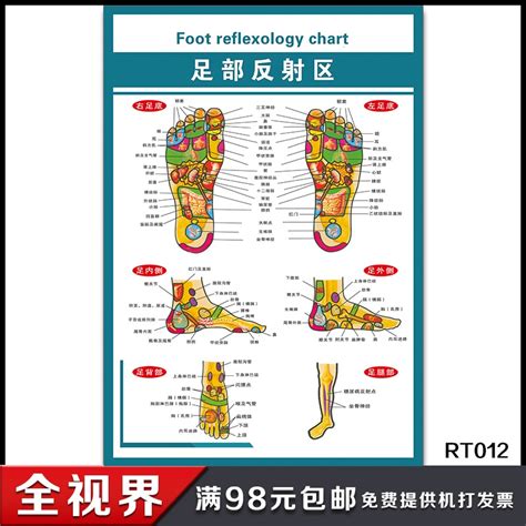 Reflexology Wall Chart Posters Large Reflexology Chart