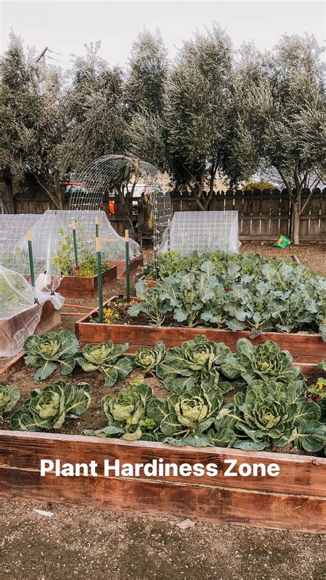 Ericka Ring | It’s the chest grab for me… 😂🙈 And yes we picked a