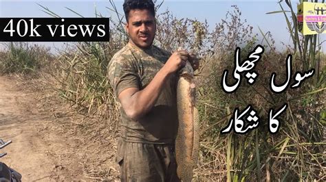 Sol Machli Ka Shikar Fish Hunting Fishing Videos River Fishing In