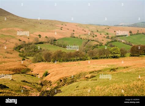 Uk Wales Powys Black Mountains View Of Brecon Beacons From Hay Bluff