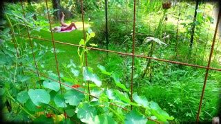 Free Socolas Universe Porn Videos From Thumbzilla