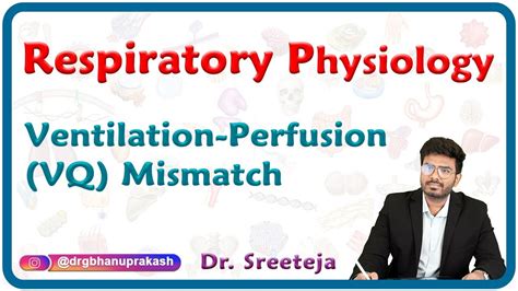 Ventilation Perfusion V Q Mismatch Respiratory Physiology Usmle Step 1 Youtube