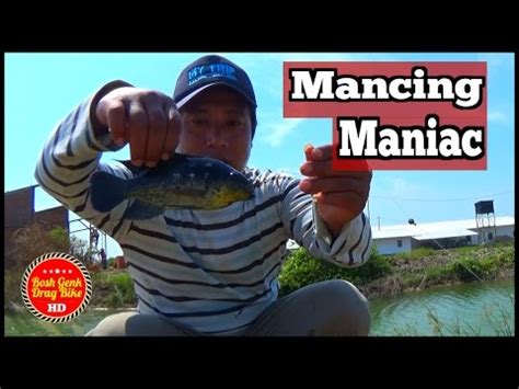 Mancing Mania Mancing Ikan Mujaer Di Balong Dapat Banyak Hd Youtube