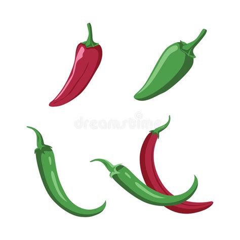 Vector Design Of Red Green Hot Spicy Chili Pepper Vegetable Stock Vector Illustration Of Chili