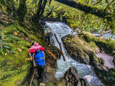 Day 4 : Exploring the karst forest! - Naturevolution