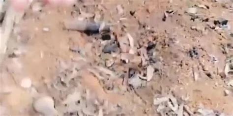 Chinese Cam Girl LiuTing Outdoor Sex 02 Tnaflix