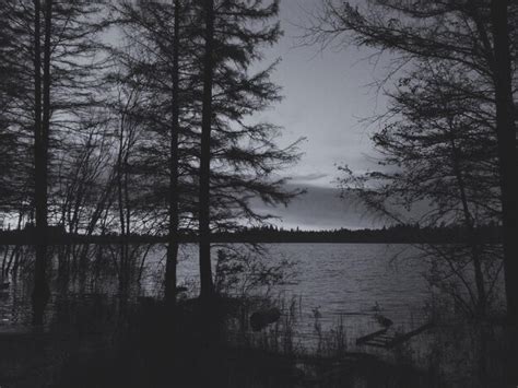 obscured view images    freepik