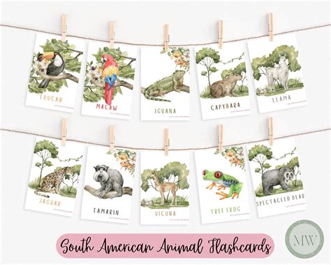 wild animal flashcards printable