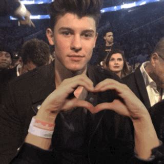 Shawn Mendes Gay Porn Ninjakera
