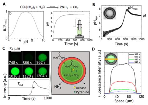 Microfluidic PH Control And Particle Synthesis In Double Emulsions