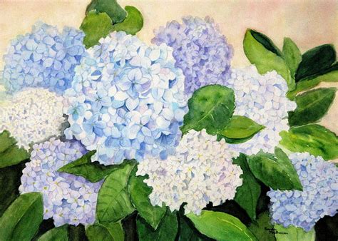 Blue Hydrangea Painting by Sandra MacPherson - Fine Art America