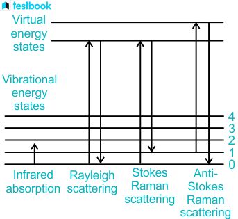 Raman Scattering: Theory, Raman Spectroscopy, And Applications