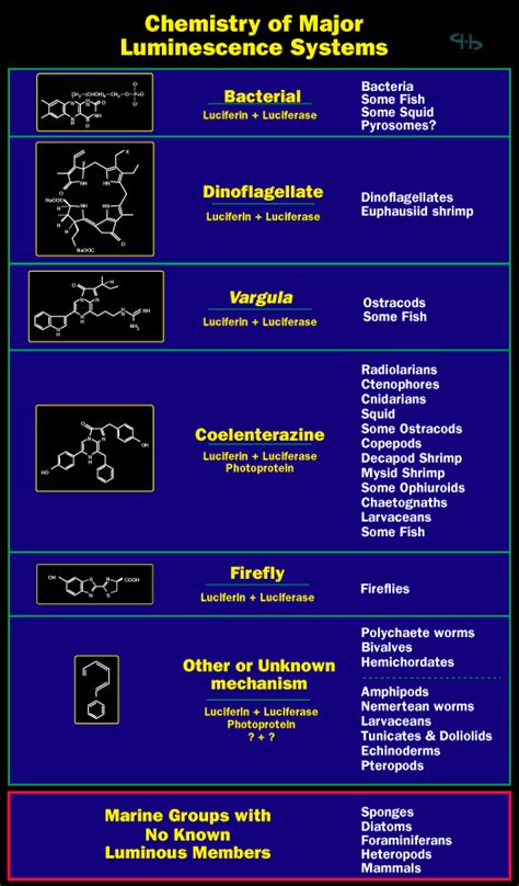 BL Web: Luciferin types