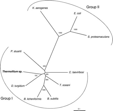 Frontiers Biochemical And Structural Characterisation Of A Novel D