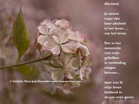 Gedicht Afscheid Emjeeprivee