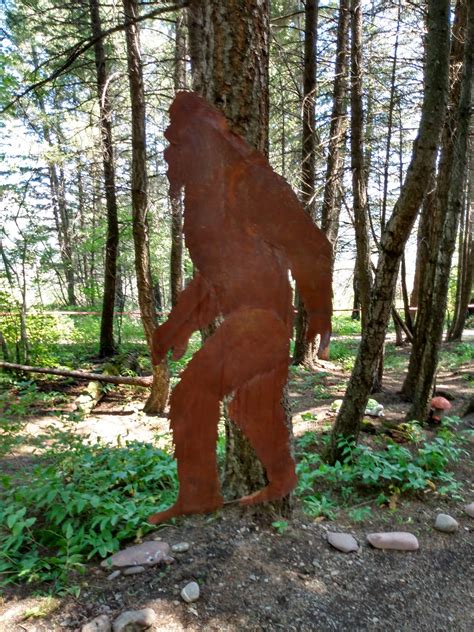 montana vortex and house of mystery