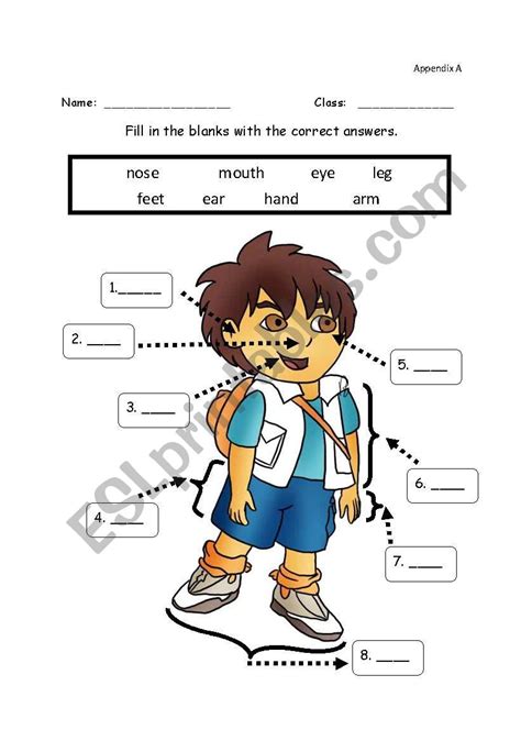 Label The Body Parts Worksheet Education Com Label The Body Parts