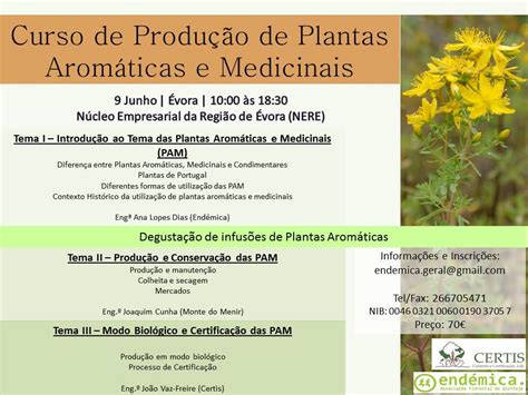 Floresta do Interior Curso de Produção de Plantas Aromáticas e Medicinais