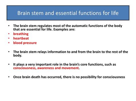 PPT - BRAIN STEM FUNCTIONS PowerPoint Presentation, free download - ID ...