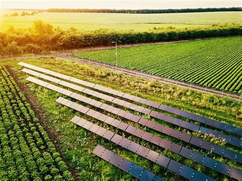 Saiba como fazer um projeto de fazenda sustentável