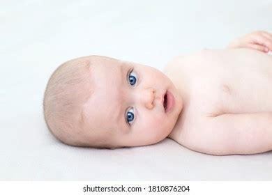 Newborn Baby Girl Naked On White Stock Photo 2513500951 Shutterstock