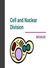 cell  nuclear divisionppt chapter  cell  nuclear division