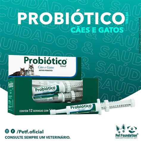 PROBIÓTICO Vetnil para Cães e Gatos 14G Pet Foundation by Johny