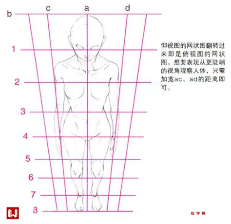 动漫俯视脸怎么画？仰视脸怎么画？ 知乎