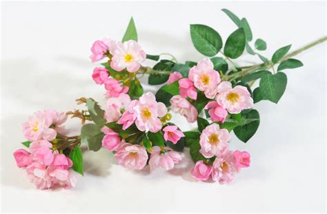 Ветка яблони "Гала" розовая купить по выгодной цене в интернет-магазине ...