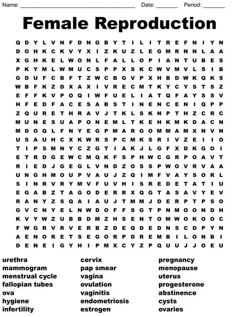 Female Reproduction Word Search WordMint