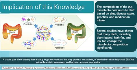 Gut Microbiota & Diabetes/Metabolic Health - What Physicians Must Know ...