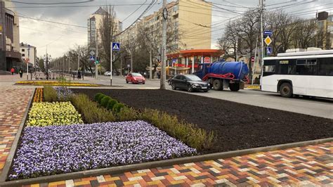Новая клумба площадью 100 квадратных метров появился в центре ...