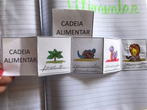 Atividades Cadeia Alimentar 1 Ano - Atividade Cadeia Alimentar 1 Ano - GITEDU