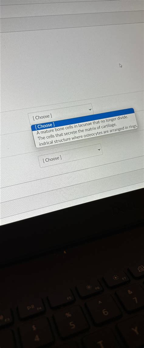 Solved Choose Choose A Mature Bone Cells In Lacunae That Chegg