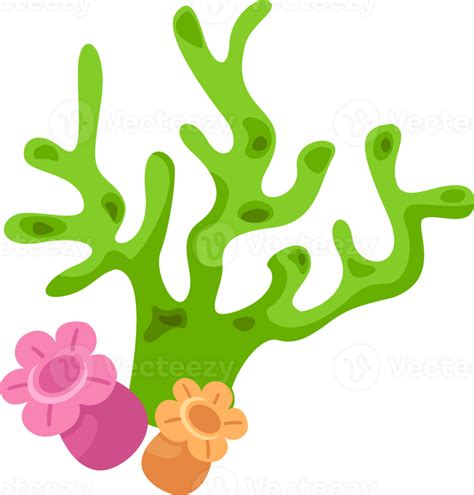 Ilustraci N Dibujos Animados Coral Png