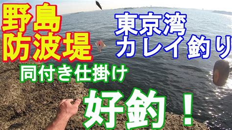 ♯111【野島防波堤カレイ釣り】久しぶりに投げ釣りで本命get Youtube