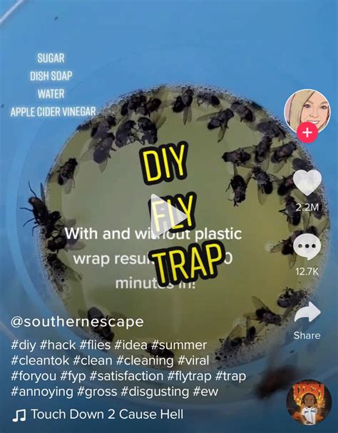 Apple Cider Vinegar Diy Diy Fly Trap Fly Traps Life Hacks Lifehacks