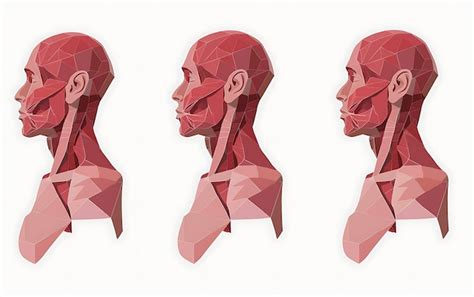 premium photo   angles   human face