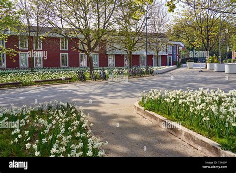 Warwick University campus Stock Photo - Alamy