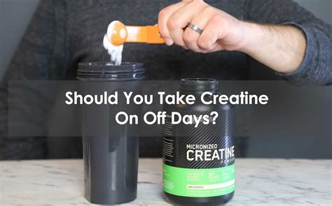 Should Beginners Take Creatine? 9 Reasons Why You Should