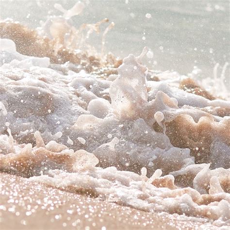 Noni Skin Care Products: What is Noni? - KORA Organics