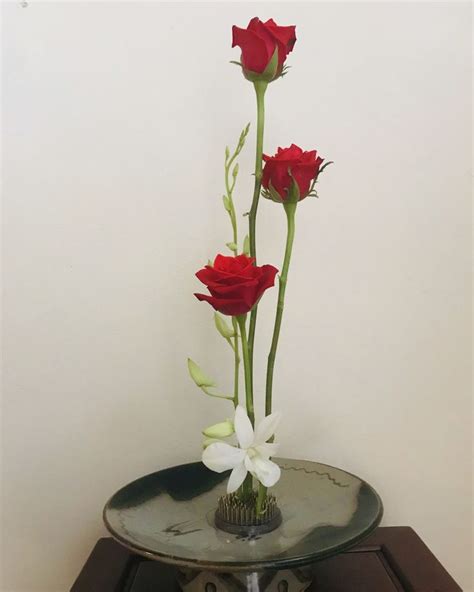 Simple And Elegant Red Rose Arrangement