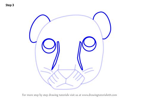 how to draw a cougar face