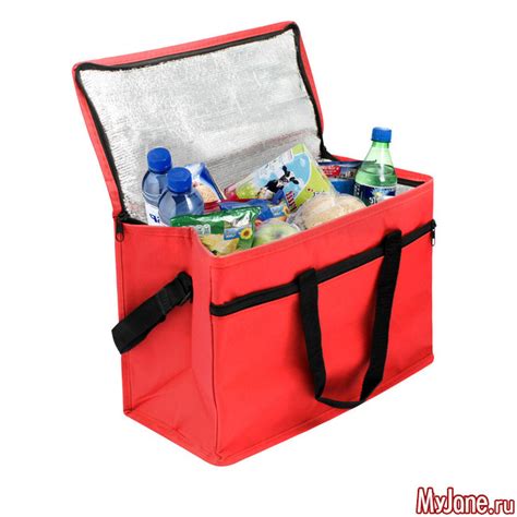Сумка-холодильник с фольгой: как правильно использовать? - сумка ...