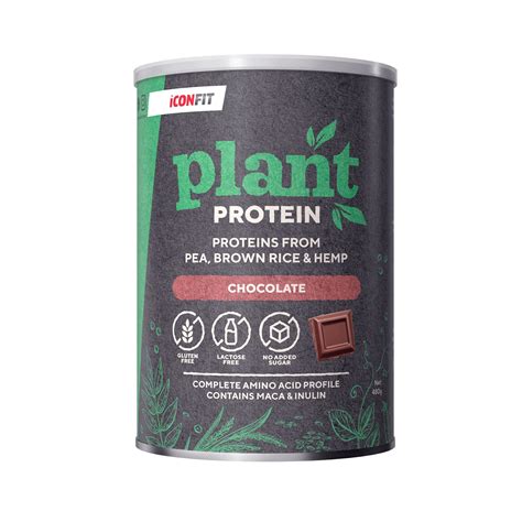 ICONFIT Plant Protein - 480g - Omegafit.ee