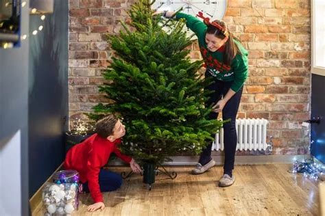 Expert Shares The Best Day To Put Up Your Christmas Tree Daily Star